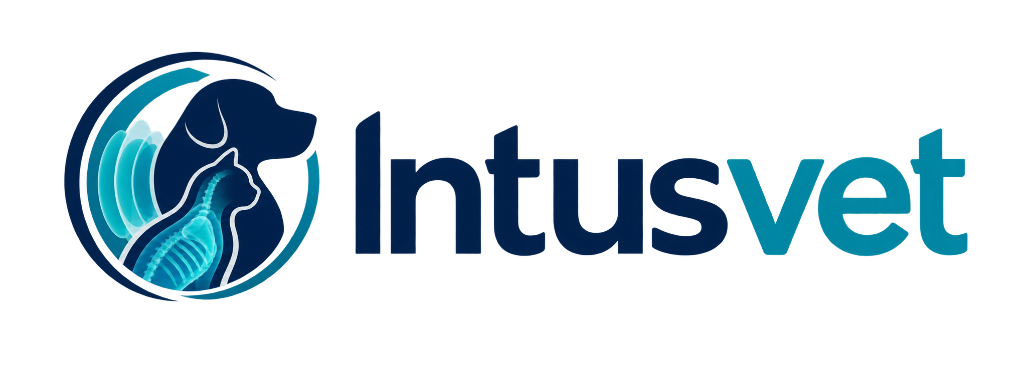 Intusvet